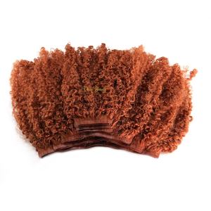 Extensions de cheveux humains vierges cambodgiens Afro Kinky Curly Copper Seamless Clip Ins 33 couleurs Kinky Curly Invisible Tight Curl 100g - Product Image 2