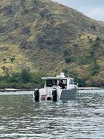Bateau de pêche, bateau à voile, bateau à vitesse, bateau de pêche commercial, à vendre, 9-14 mètres