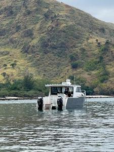 9-14 Meter Catamaran <strong>Sail</strong> Boat Speed Boat Commercial Fishing Boat <strong>for</strong> Sale