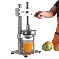 Hoge productiviteit commerciële roestvrijstalen handpers sinaasappelpers fruit- en groentesapmachine