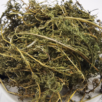 Plante chinoise populaire, plante chinoise, feuille de tige, achilée, alpina, plantes séchées, à vendre
