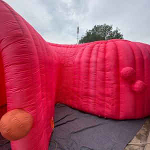 <span class=keywords><strong>Tunnel</strong></span> du côlon à enroulement extra long et gonflable <span class=keywords><strong>pour</strong></span> l'activité biomédicale, modèle gonflable de structure du corps humain <span class=keywords><strong>pour</strong></span> la publicité extérieure - Product Image 2