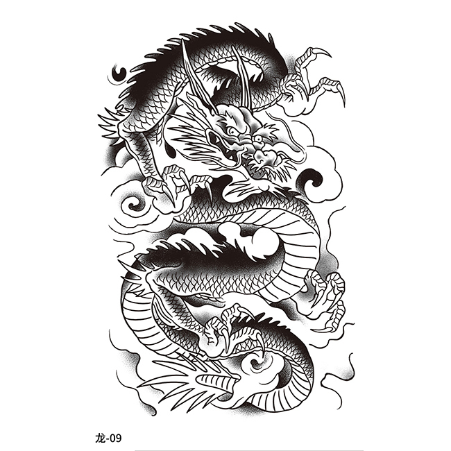 Dragon-09