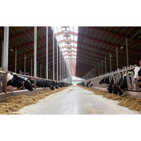 Imporx — maison de mouton et de chèvre commerciale, ferme, pour animaux