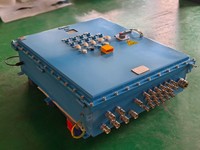 Boîte de distribution anti-explosion en acier inoxydable LD-BXD Ex Db IIB T6 IP66 AC 380V 160A pour l'éclairage et le contrôle de l'alimentation en énergie du secteur pétrolier et gazier
