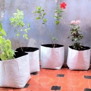 Sacs de culture en plastique noir <span class=keywords><strong>pour</strong></span> serre fruits légumes bleuets pépinière <span class=keywords><strong>jardin</strong></span> planteur <span class=keywords><strong>pour</strong></span> plantes - Product Image 6