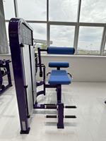 Machine de musculation multifonctionnelle commerciale en acier réglable pour extensions dorsales et abdominaux