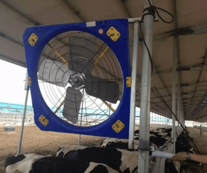 Ventole di raffreddamento industriali a 38 pollici di circolazione dell'azienda avicola del grande ventilatore dell'elica per la serra - Product Image 6