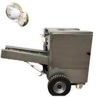 Machine à peler les noix de coco à chaud, machine à éplucher la peau brune des noix de coco, machine à peler les noix de coco de Chine