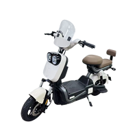 Vélo Électrique Urbain Double Siège 350W 48V de Haute Qualité pour Adultes – Vélo de Commutation Électrique pour 2 Personnes – Offre Spéciale