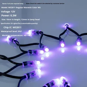 Guirlande lumineuse LED extérieure à pixels pleine couleur WS2811-12V IP67 étanche avec fil noir et remplissage de colle pour arbres de Noël et enseignes publicitaires - Product Image 5