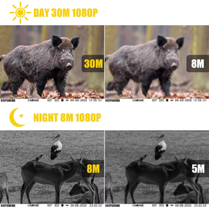 Caméra <span class=keywords><strong>de</strong></span> <span class=keywords><strong>surveillance</strong></span> extérieure étanche 30MP, résolution vidéo 1080p, carte SD <span class=keywords><strong>pour</strong></span> la chasse aux <span class=keywords><strong>animaux</strong></span> et la capture en milieu sauvage, double objectif, bonne vue - Product Image 5