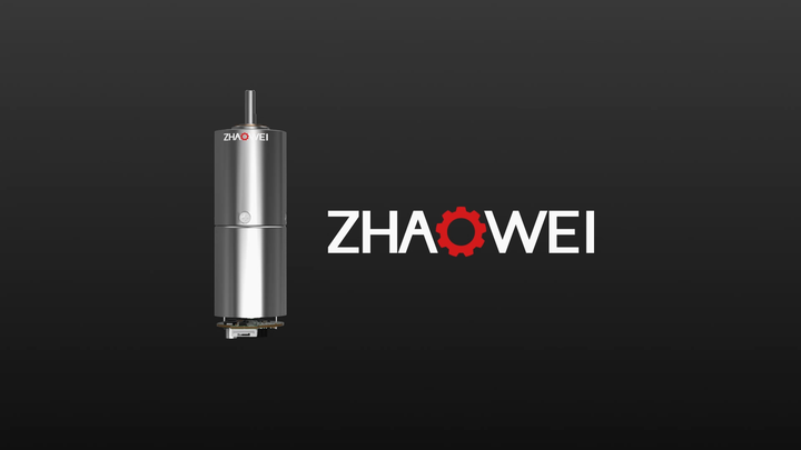 Zhaowei 24mm Gear Motor - High Torque, Low Noise DC Motor
