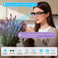 Lunettes Intelligentes IA avec Caméra 4K EIS, Assistant Vocal, Traduction, Application, Anti-tremblement et Fonction d'Appel Téléphonique