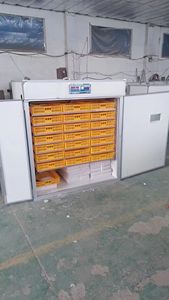 Incubateur automatique à œufs de poulet de capacité moyenne Baojieyuan Produit industriel - Product Image 4