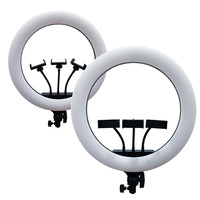 Lampe LED de remplissage photographique dimmable de 18 pouces pour diffusion en direct, maquillage et selfies, avec trépied