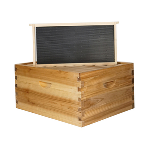 Colmena Langstroth de 2 niveles ZHILI BEE MZJ-001 de abeto chino con 20 cuadros y ceras estampadas, nueva condición, 1 año de garantía - Product Image 5