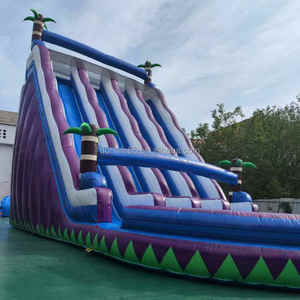 Tobogán Acuático Inflable Comercial Donwin, <span class=keywords><strong>Castillo</strong></span> Inflable para Niños y Adultos, Material de PVC, Garantía de 3 Años, Capacidad para 99 Personas - Product Image 2