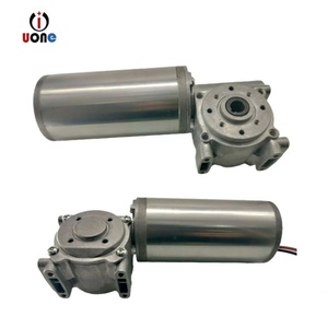 Motor Eléctrico Inteligente de Inducción para Apertura de Puertas, Estilo Europeo, 12V/24V, con Engranaje de Gusano Hueco, Micro Motor DC con Control de Velocidad Pequeño - Product Image 5