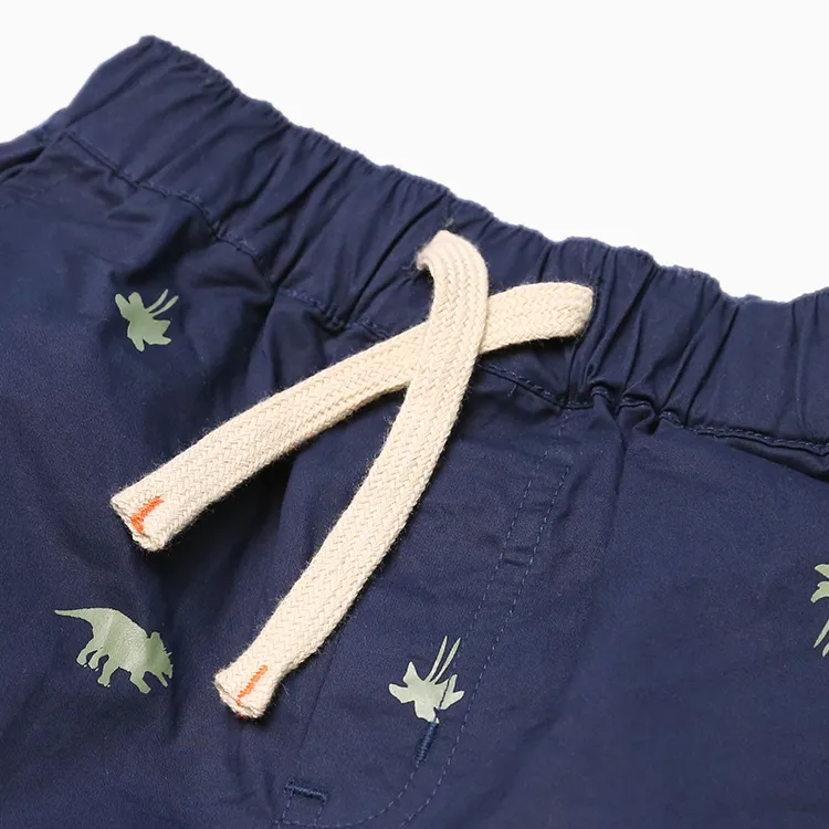 Vente en gros Vêtements pour enfants Vêtements de plage Shorts imprimés Pantalons tissés décontractés pour enfants Garçons Capris en coton pour l'été