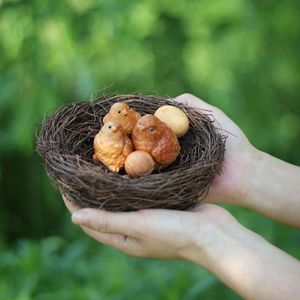 Handmade Wood Bird Nest With Carved Birds And Eggs Natural Shape Home Decoration Zhejiang Craft - Product Image 1