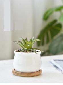 Macetas Modernas de Lujo de Alta Calidad para Plantas Gruesas, Soportes para Macetas de Bonsái para Uso en Interiores y Jardines - Product Image 6