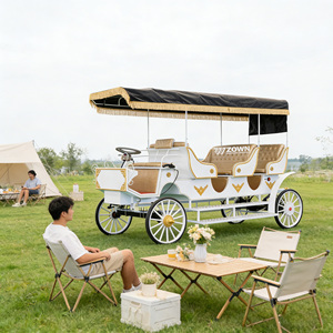 Carruaje de Caballos de Lujo Estilo Europeo, Vehículo Turístico Personalizado para Fotografía de Bodas en Lugares Turísticos - Product Image 1