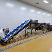 Machine à laver et à laver les fruits et légumes, ligne de Production de légumes, entièrement de haute qualité