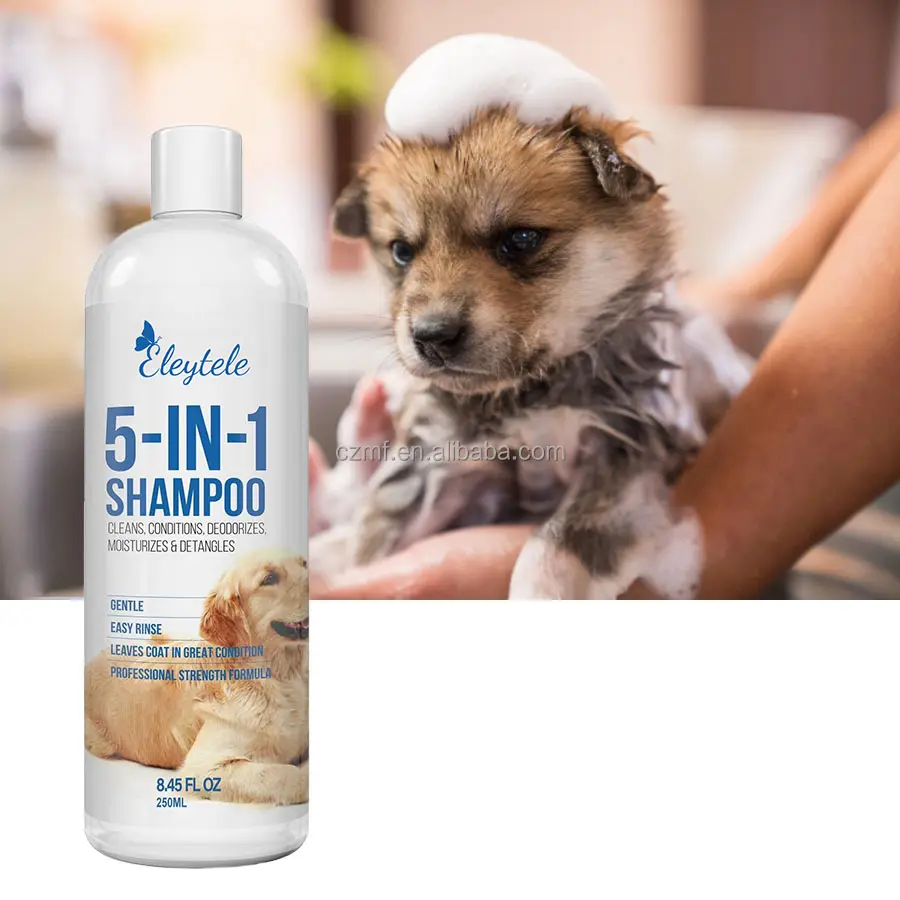 Private Label Atacado Natural Organic Oatmeal Aliviar Condicionador Seco Itchy Hidratante 5 Em 1 Dog Cat Pet Shampoo