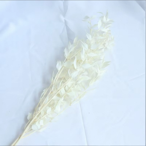 Venta al por Mayor de Hojas de Dracaena <span class=keywords><strong>Sanderiana</strong></span> Preservadas, Ruscus para el Día de San Valentín, Adornos Eternos, Venta Caliente, OEM, ODM - Product Image 5