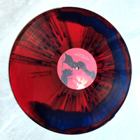 Disques vinyles 7 pouces, 10 pouces, 12 pouces, 33 1/3 tours/minute ou 45 tours/minute avec effet éclaboussures et emballage en feuille d'or/d'argent
