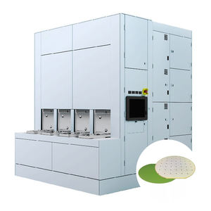 Línea de Producción de Obleas Integrada con Sistema de Eliminación de Fotorresina para Procesos Maduros - Product Image 3