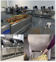 Automatische Zetmeelproductielijn Aardappelgemberwaspeling Snijsnijdende Droogmachine