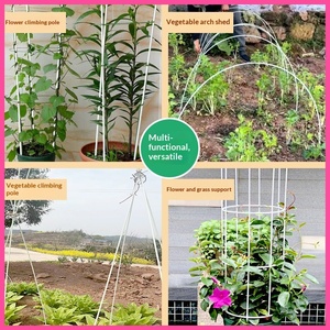 Arches de soutien modernes en plastique pour serres, pour la culture de légumes, petites arches de jardin, isolation élastique, fibre de verre solide, usage agricole - Product Image 4