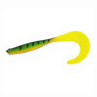 Matériel de pêche, appât en silicone souple 3D de 12 cm, 6 g, pêche d'hiver, ISCAS Artificiais pour poissons d'eau douce, saumon