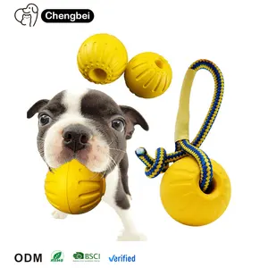 Großhandel Training Dog Ball Bite Pull Ring Haustier Interaktives Spielzeug EVA Foam Bite Resistant Dog Chew Toys