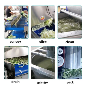 Ligne de traitement automatique de légumes <span class=keywords><strong>pois</strong></span> verts surgelés ligne de production automatique de légumes surgelés tomate <span class=keywords><strong>carotte</strong></span> machine à laver - Product Image 6
