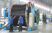Cables Blindados FRORAR - Conductor de Cobre Desnudo, Aislamiento de PVC, Clasificación IP65, Alto Voltaje para Distribución de Energía en Construcción, Resistentes a Roedores