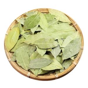 100% feuilles <span class=keywords><strong>de</strong></span> <span class=keywords><strong>laurier</strong></span> séchées biologiques épices naturelles <span class=keywords><strong>de</strong></span> haute qualité <span class=keywords><strong>feuille</strong></span> <span class=keywords><strong>de</strong></span> <span class=keywords><strong>laurier</strong></span> séchée pour la cuisson - Product Image 5