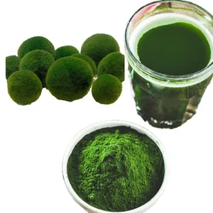 中国最优惠的价格散装优质小球藻有机小球藻粉