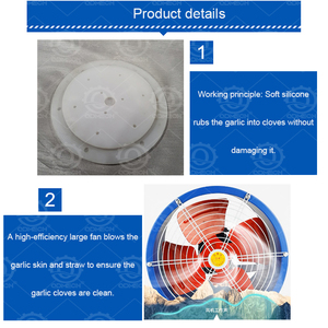 QDMECH prix de gros bulbe d'ail brisant la Machine de séparation de haute qualité - Product Image 6