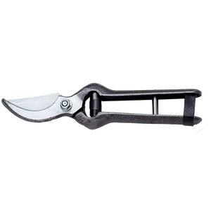AUSONIA 19 cm Tijeras Manuales para Viñedos - Product Image 1