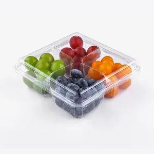 Factory Supply Custom Plastic Verse Gesneden Fruit Verpakking Plastic Clamshell Groenten En Fruit Box