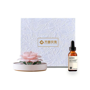 Private Label <strong>Car</strong> Diffuser Essential Oil Gift 8ml+30ml Natural Scent <strong>Set</strong> with Accessories OEM Packaging - Product Image 1