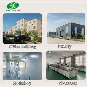 Édulcorant naturel extrait de feuille de stévia en vrac contenant RA 98% <span class=keywords><strong>sirop</strong></span> <span class=keywords><strong>sans</strong></span> <span class=keywords><strong>sucre</strong></span> poudre de stévia - Product Image 5