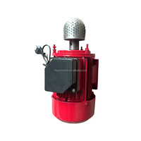 Machine à râper et à éplucher les noix de coco portable 200W 300W