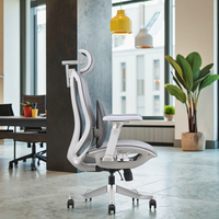 Chaise de bureau ergonomique en maille grise réglable avec support lombaire auto-ajustable, vérification de la certification de la classe 3, vérin à gaz, base en alliage d'aluminium, moderne