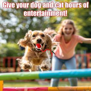 2025 yeni interaktif kırmızı köpek kedi oyuncak topları akıllı otomatik 360 ° haddeleme evcil hayvan topu hızlı hareketli oyuncak Pet hareketi interaktif oyuncak - Product Image 3