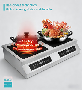Table de cuisson à induction double zone chauffante 5000W, 2 brûleurs plats, haute puissance, modèle AM-CD206, prix usine - Product Image 3