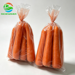 Offerta Speciale 2026: Carote Arancioni Fresche di Grado A, Croccanti <span class=keywords><strong>e</strong></span> Dolci, Vendita all'Ingrosso per Importatori Alimentari Globali - Product Image 1